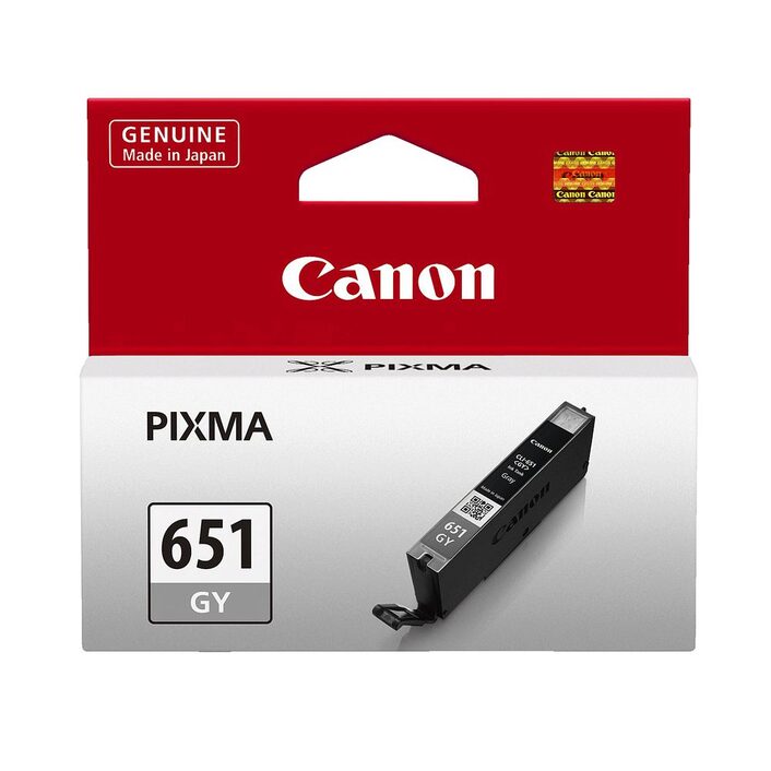 Canon PGI-651 Grey Ink Cartridge