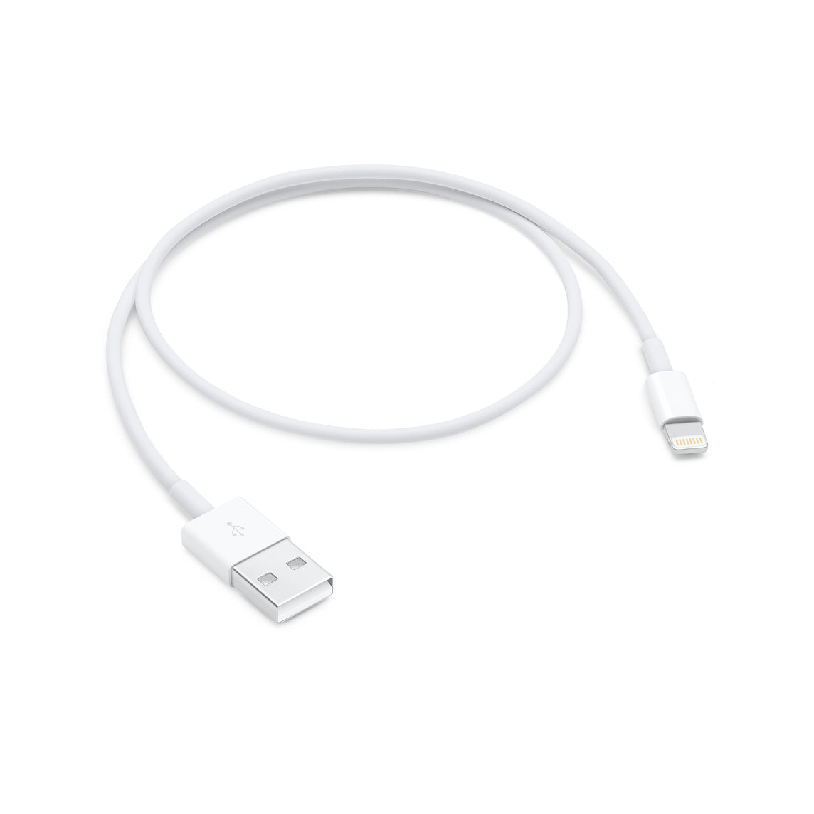 Apple Lightning to USB Cable (0.5m)